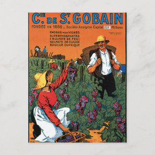 Cie De St.Gobain Grape Vintage Food Ad Art Postcard