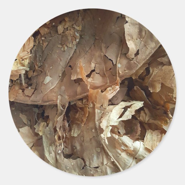 Cigar Smokers Tobacco Leaf Texture Classic Round Sticker (Front)
