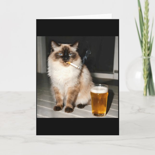 Cigarette Cat Funny Ragdoll Cat Smoking Kitten Bee Card (Front)