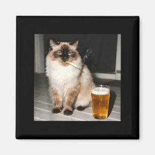 Cigarette Cat Funny Ragdoll Cat Smoking Kitten Bee Magnet