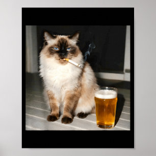 Cigarette Cat Funny Ragdoll Cat Smoking Kitten Bee Poster