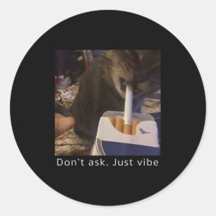 Cigarette Kitten Funny Smoking Cat Meme Stud Brain Classic Round Sticker