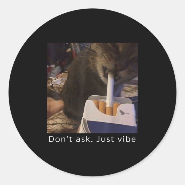 Cigarette Kitten Funny Smoking Cat Meme Stud Brain Classic Round Sticker (Front)