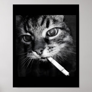 Cigarette Kitten Funny Smoking Cat Meme Stud Brain Poster