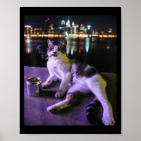 Cigarette Kitten Funny Smoking Cat Meme Stupid Bra