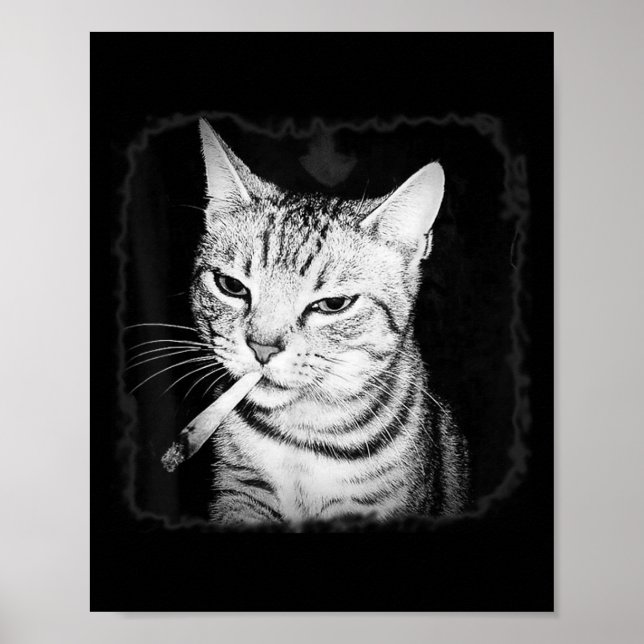 Cigarette Kitten Gang Cat Smoking Cigarette Funny  Poster (Front)
