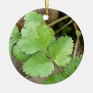 Cilantro Ceramic Tree Decoration