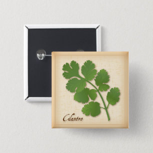 Cilantro Herb 15 Cm Square Badge