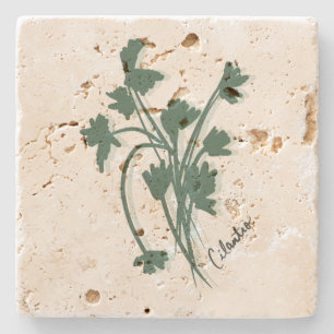 Cilantro Herb Garden Coriander Hand Drawn  Stone Coaster