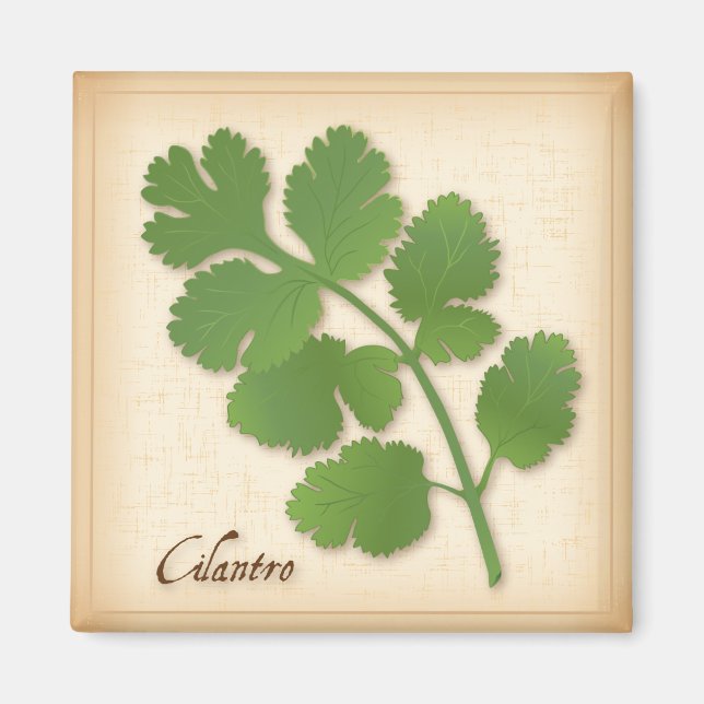 Cilantro Herb Magnet (Front)