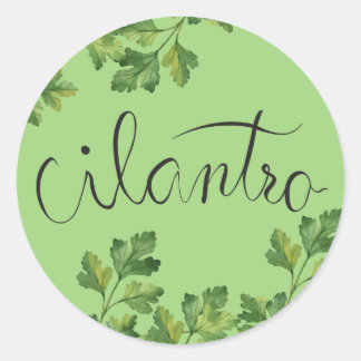 Cilantro herbs classic round sticker