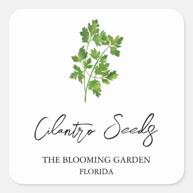 Cilantro Seeds label (Front)