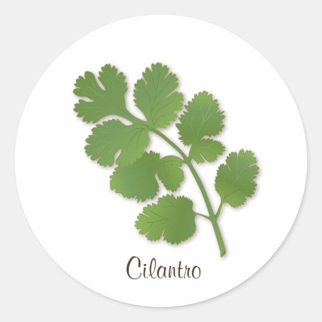 Cilantro Sticker (Front)
