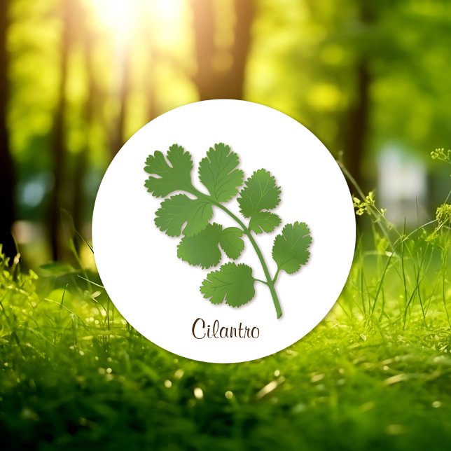 Cilantro Sticker (Cilantro Herb Sticker, aromatic leaves with a distinctive flavor. )