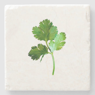 Cilantro Stone Coaster