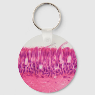 Ciliated epithelium under the microscope. key ring