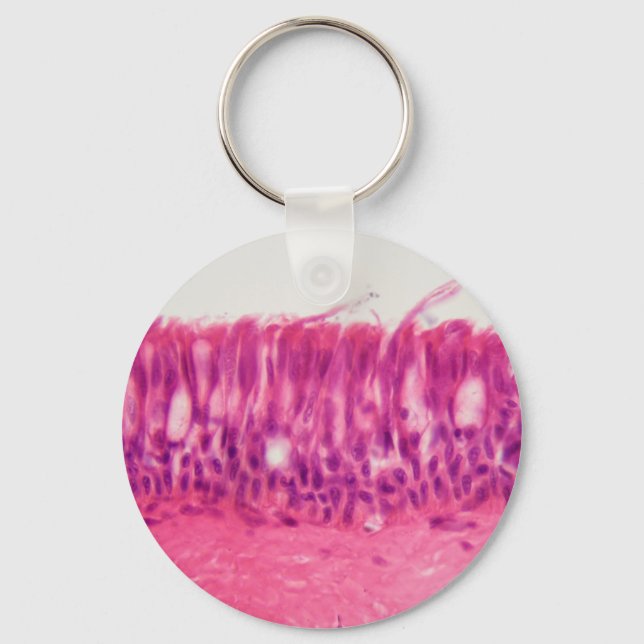 Ciliated epithelium under the microscope. key ring (Front)