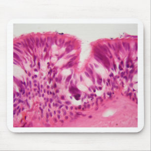 Ciliated epithelium under the microscope. mouse mat