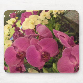 CIMG0482 MOUSE MAT