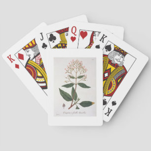 Cinchona from 'Phytographie Medicale' by Joseph Ro Playing Cards