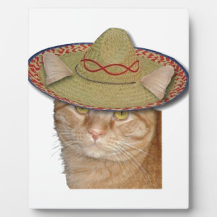 Cinco de Gato Plaque