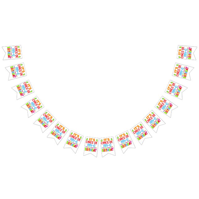 cinco de mayo birthday funny pun bunting  (All)