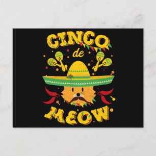 Cinco de Mayo Cat Cinco de Meow Kitten Sombrero Postcard