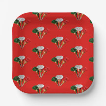 Cinco de mayo ,fiesta mexican paper plates