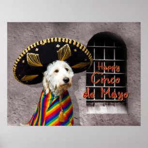 Cinco de Mayo Poster - Dog in Sombrero - Humour