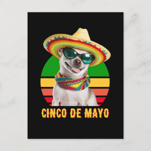 Cinco De Mayo Sombrero Chihuahua With Sunglasses Holiday Postcard