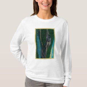 Cinder Cone in Lassen Volcanic National Park T-Shirt