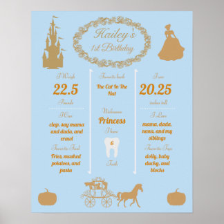 Cinderella Baby's 1st Birthday Milestones Poster