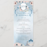 Cinderella Fairy Tale Elegant Blue Pink Party 