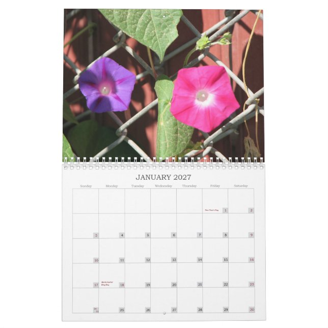 Cindy's Garden Collection Calendar (Jan 2027)