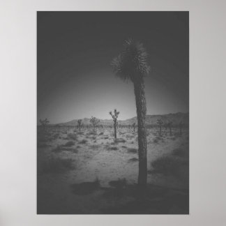 Cinematic Black and White Field of Joshua Trees Poster