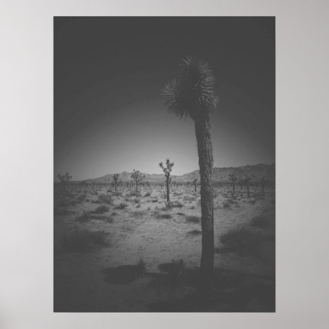 Cinematic Black and White Field of Joshua Trees Poster (Front)