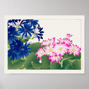 Cineraria by Tanigami Konan Poster