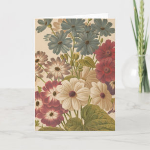 Cineraria George Nicholson Card