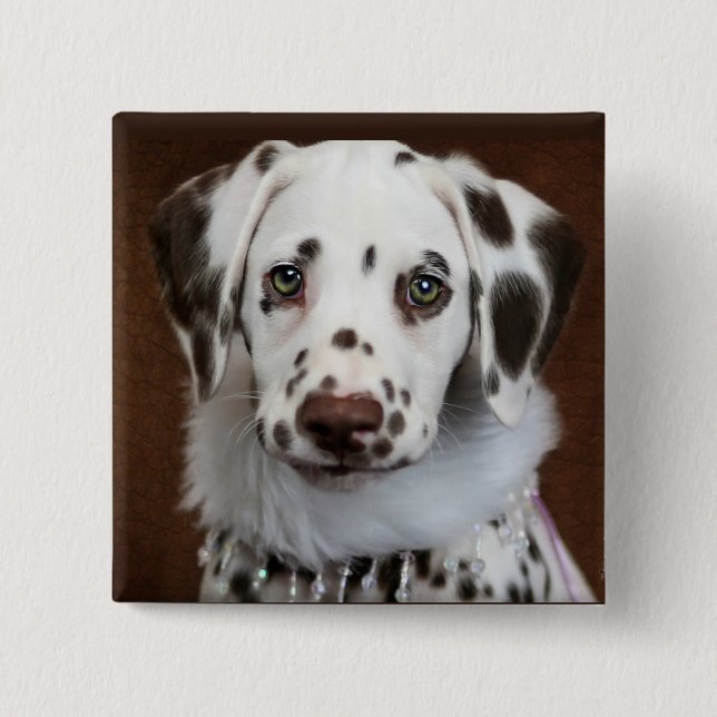 Cinnabon Dalmatian 15 Cm Square Badge (Front)