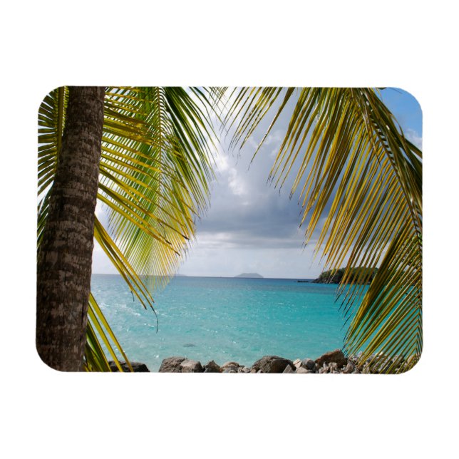 Cinnamon Bay, St. John, USVI Magnet (Horizontal)