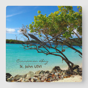 Cinnamon Bay St. John USVI Wall Clock
