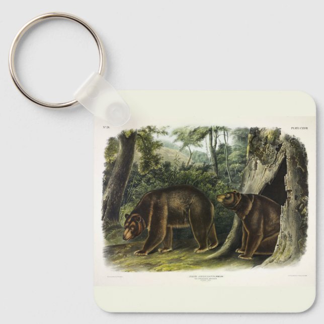 Cinnamon Bear from Audubon's Quadrupeds Key Ring (Front)