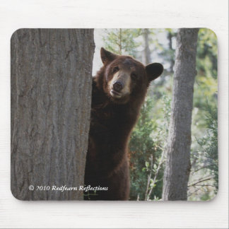 Cinnamon bear mouse mat