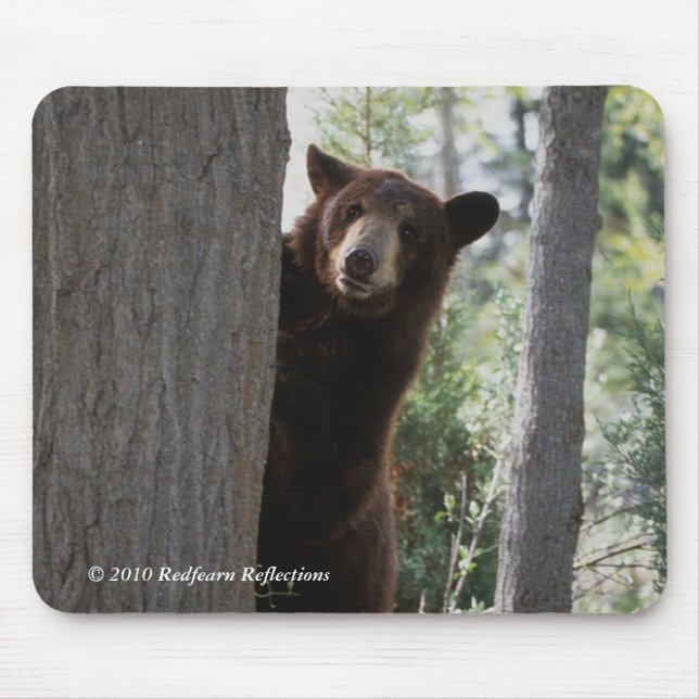 Cinnamon bear mouse mat (Front)