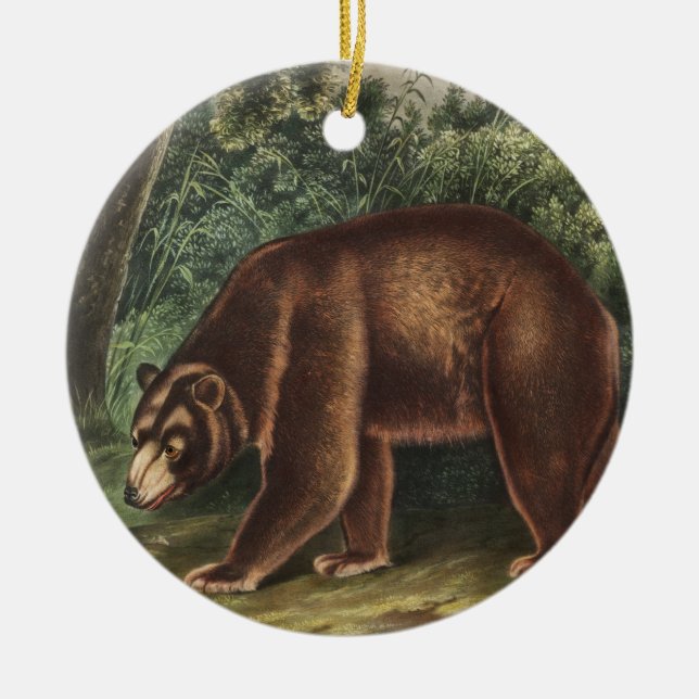 Cinnamon Bear (Ursus Americanus var. Cinnamonum) Ceramic Tree Decoration (Front)