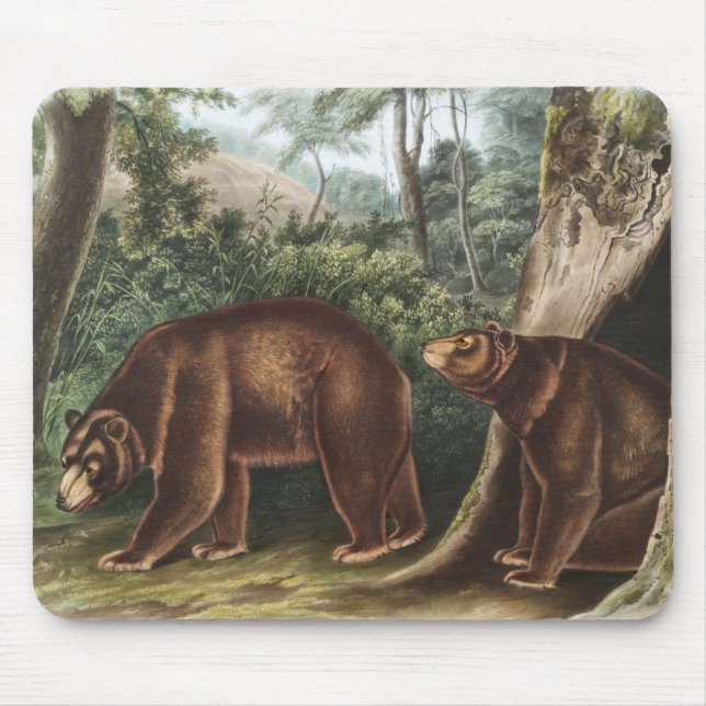 Cinnamon Bear (Ursus Americanus var. Cinnamonum) Mouse Mat (Front)