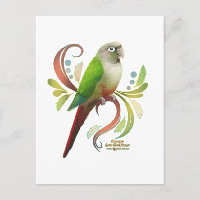 Cinnamon Green Cheek Conure Postcard (Front)
