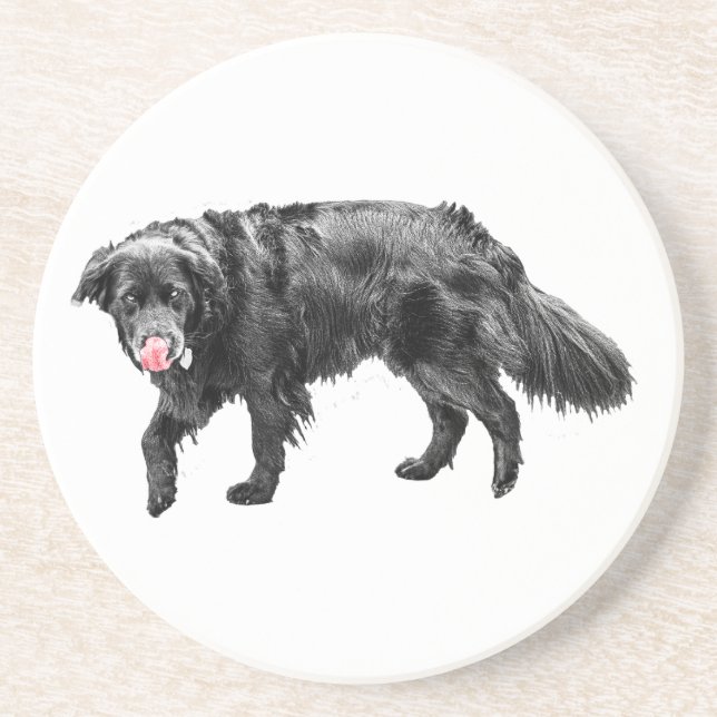 Cinnamon Steam, Scarlet Lick Coaster (Front)