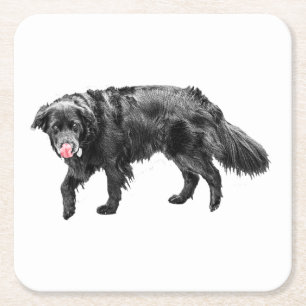 Cinnamon Steam, Scarlet Lick Square Paper Coaster