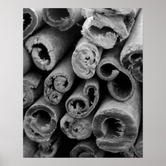 Cinnamon Sticks Poster
